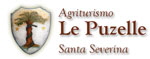 Logo_le_puzelle